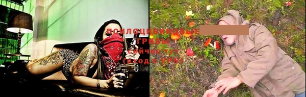 ПСИЛОЦИБИНОВЫЕ ГРИБЫ Балахна